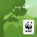 WWF森林app官方安卓下载  v1.0