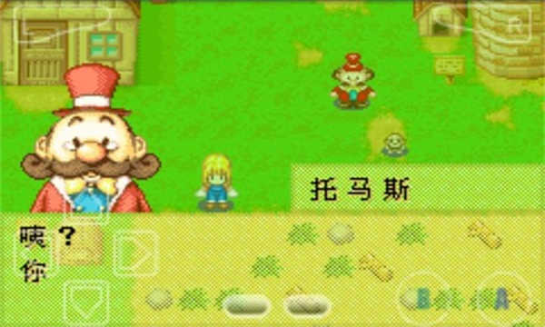 牧场物语女孩版图3