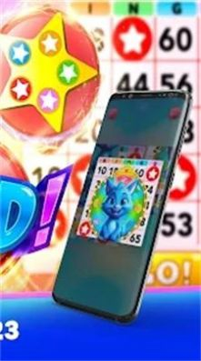 疯狂宾果游戏官方版图3