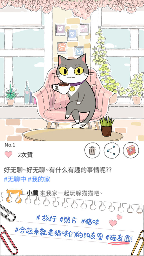 猫友圈猫咪的旅行图2