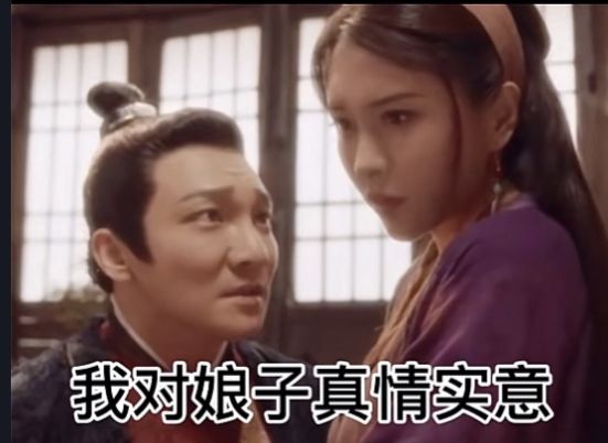 那日一见娘子我对娘子就念念不忘表情包图3