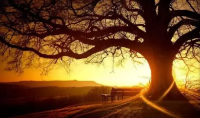 2022免费听步非烟音频的平台