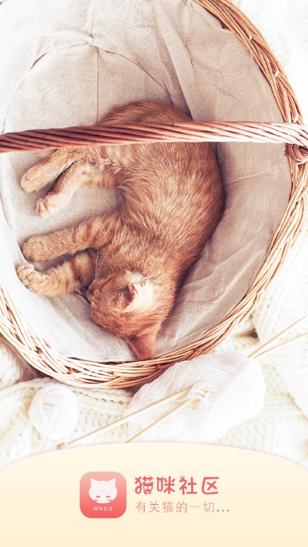 猫味社区人最新版图3