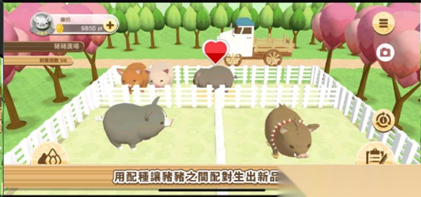养猪场3D安卓中文版图2