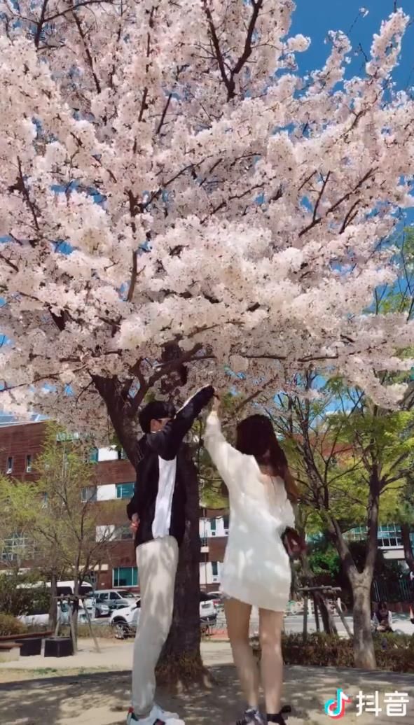 抖音爱的华尔兹舞蹈视频bgm歌词分享图片2