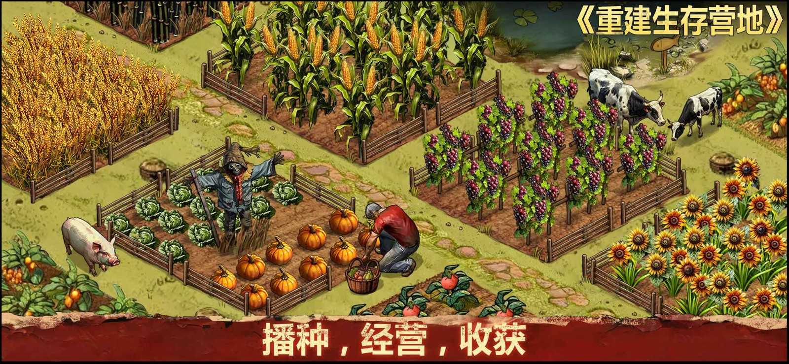 重建生存营地图4