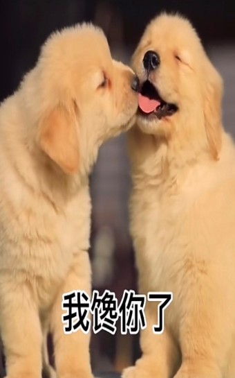 出来约会呀我馋你了表情包图2