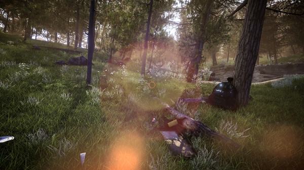 Forest Ranger Simulator游戏图2