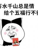 集福搞笑图片图4