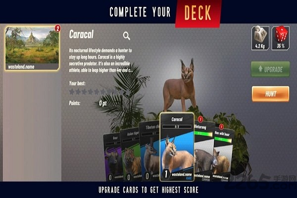 野生动物冲突游戏图4