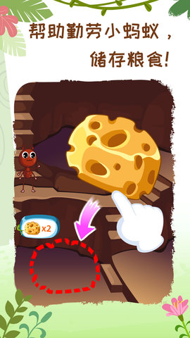 奇妙昆虫世界图2