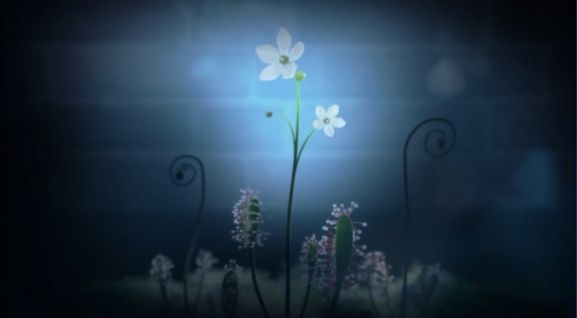 白色情人节2谎言之花中文版图2