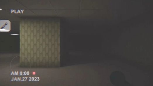 Backrooms Entity 30汉化版游戏  v1.02图4