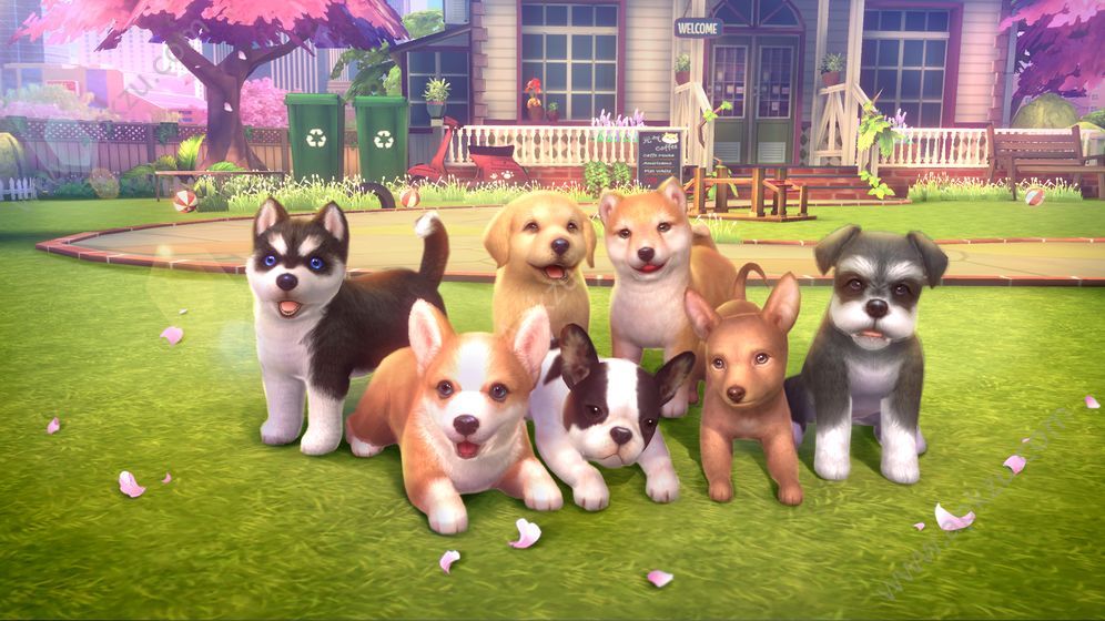 元气小狗官方版图5