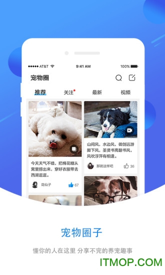 犬易智能宠物管家图1