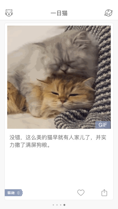 一日猫图2