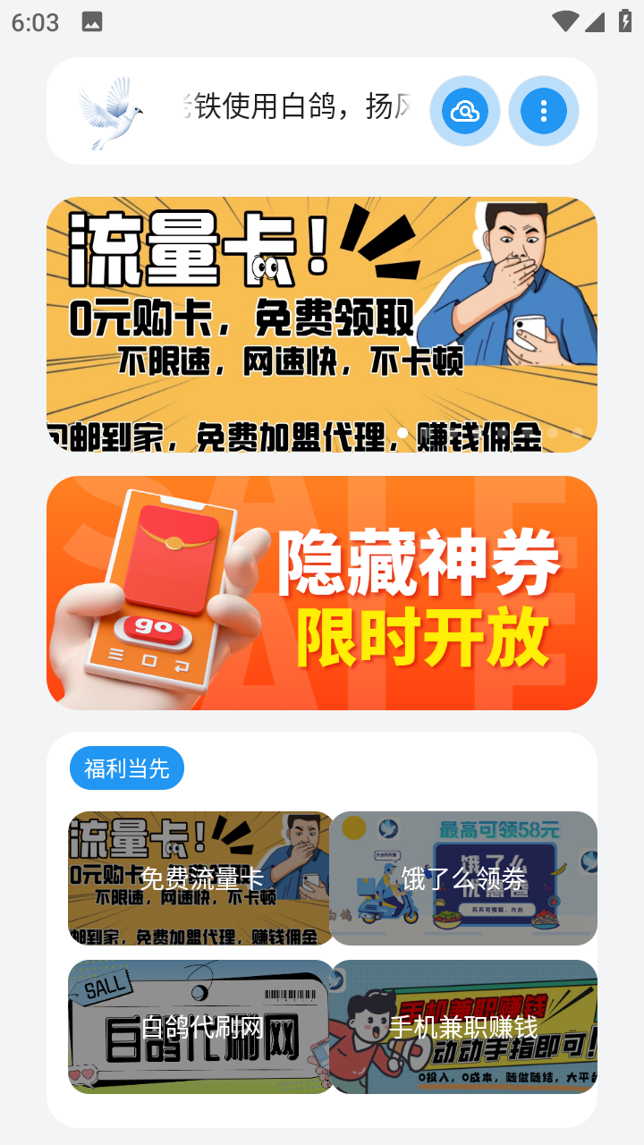白鸽盒子图3
