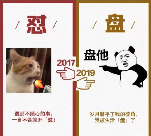 2017和2019网络流行语对比图app完整版免费下载  v1.0图3