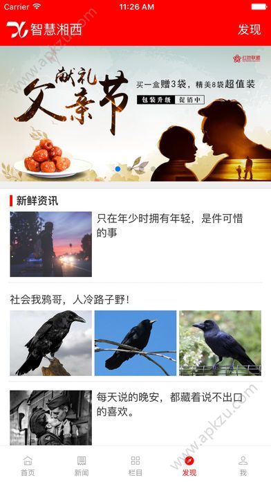 智慧湘西网手机版下载app  v3.1.1图4