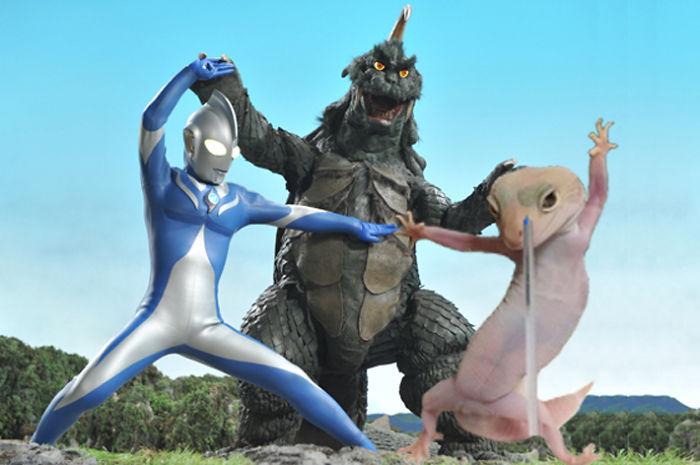 核酸检测奥特曼打怪兽动图图片gif免费分享  图2