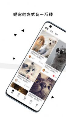 交宠app图2