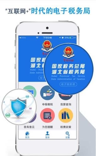 湖北税务网上税务局 图2
