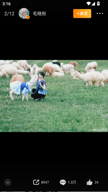 微博极速鸿蒙版图3