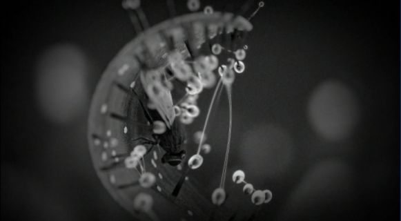 白色情人节2谎言之花中文版图1