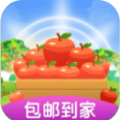 种树果园红包版