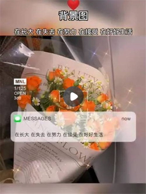 在长大在失去在努力在接受在好好生活图片图1