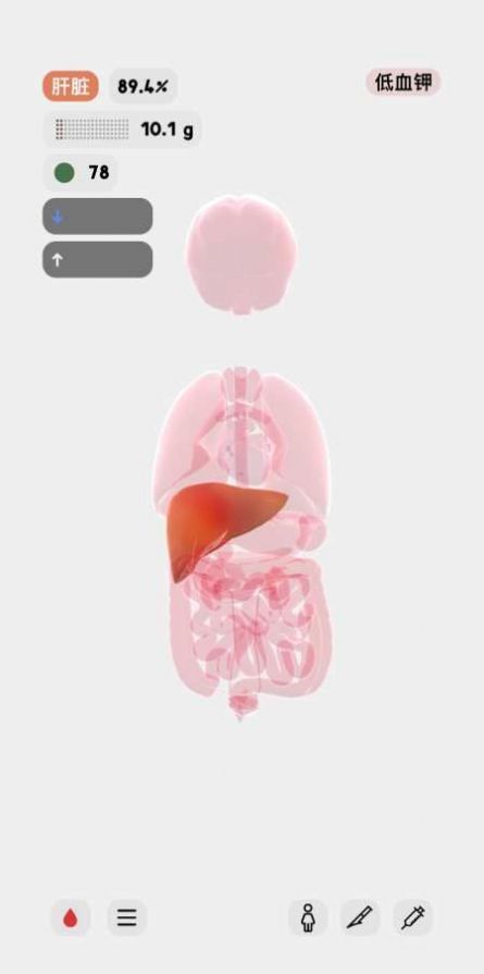 生命人体模拟器安卓汉化中文版  v1.0图4