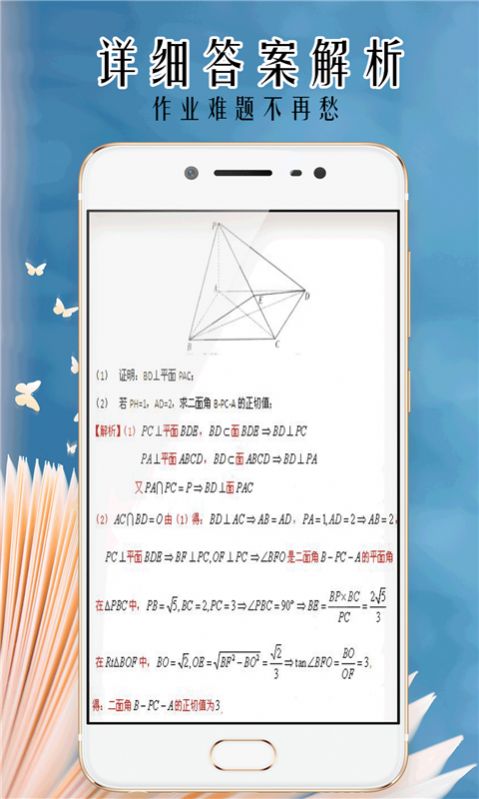 小笨鸟拍照搜题app图4