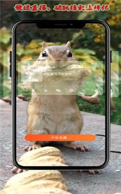 拍一拍医视频app图3