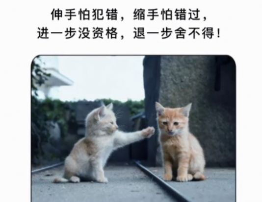 伸手怕犯错缩手怕错过背景图图1