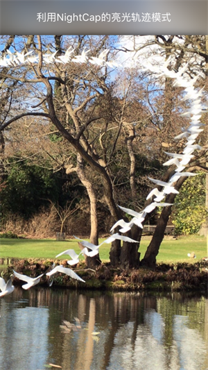 NightCap相机app安卓版图2