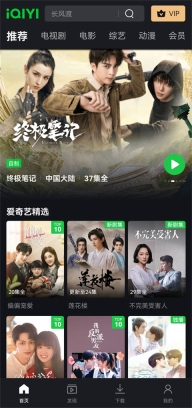 爱奇艺国际版图5