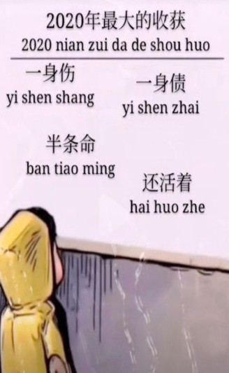 抖音2020年最大的收获壁纸图3