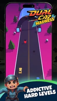 双车狂潮(DualCarMadness)图2