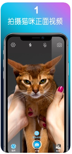 抖音猫身人嘴app软件下载  v1.0图2