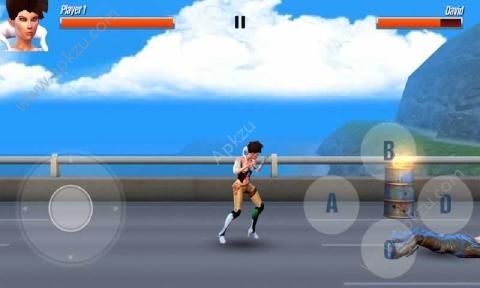 狂野西部格斗金币安卓版  v1.0图4