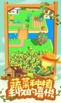 我的开心家园图3