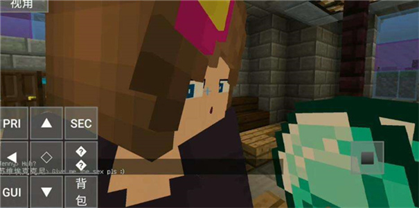 珍妮模组魅魔包3.0版本图1