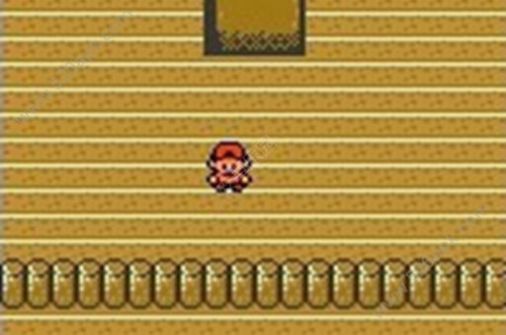 口袋妖怪生与死汉化版游戏下载  v4.8.6.6图1