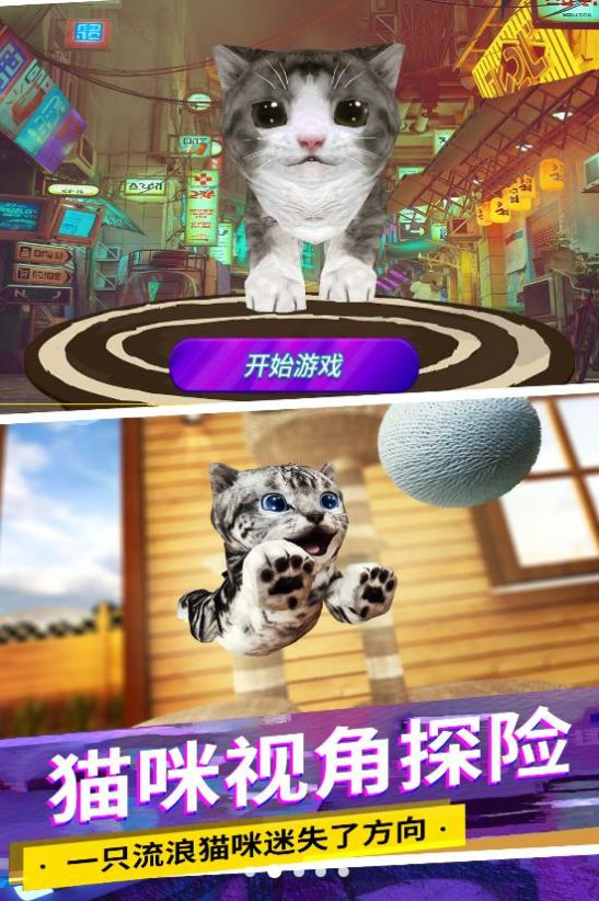 猫咪城市模拟安卓版图1