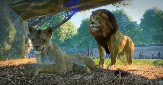 动物园之星手机版下载中文版安装包  v1.0.13图2