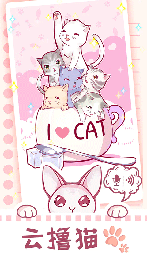 云撸猫咪图3