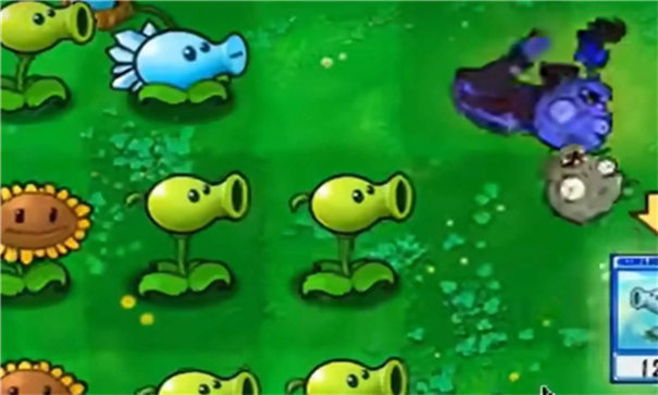 pvz抽卡重置版图6