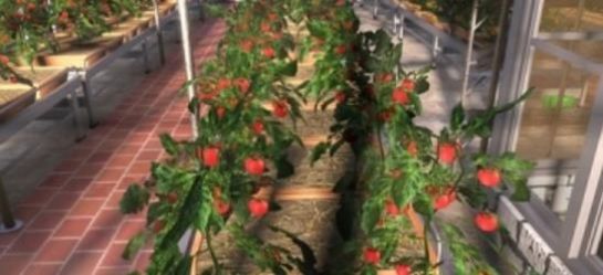 农民的追求2.3安卓图4