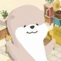 水獭的房间游戏中文版  v1.0
