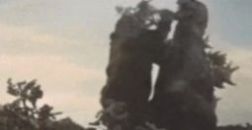 刚刚给我做的不是核酸检测女主？图片表情包高清下载  v1.0图1